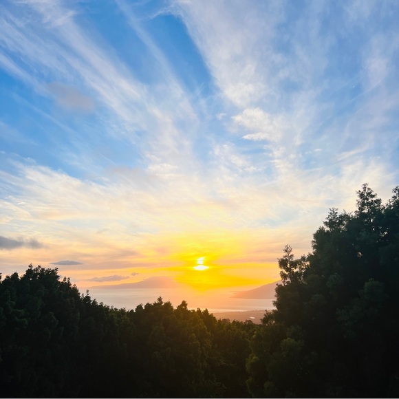 Meet your Posher, Beba - Picture 5 of 10